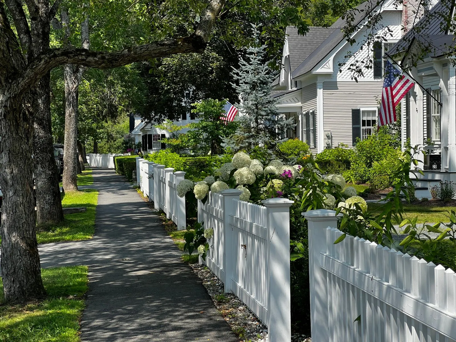 Sidewalk lined with white picket fences, flowering shrubs and classic American homes flying US flags